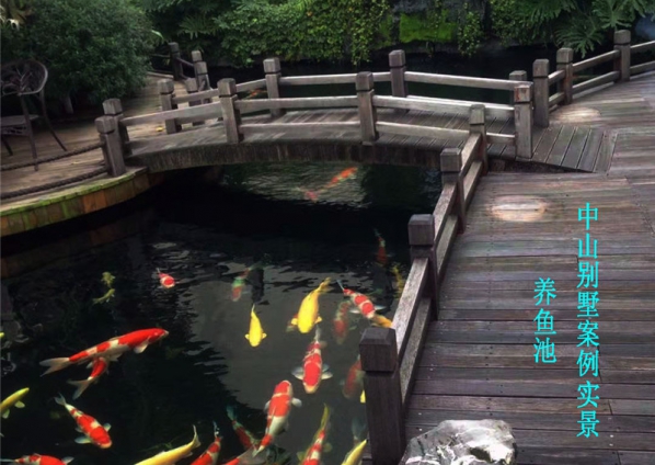 （养鱼池）中山别墅案例实景